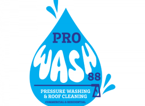 pressure washing website logo