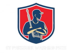 pressure washing website logo